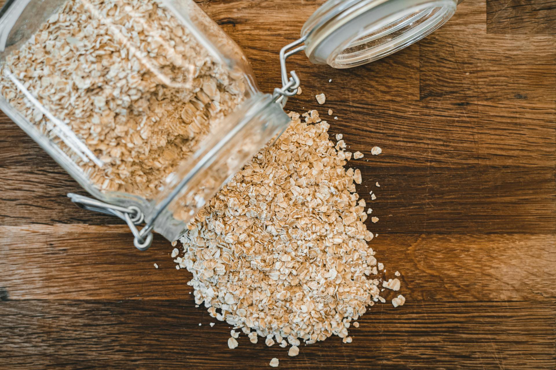 los perros pueden comer avena con canela