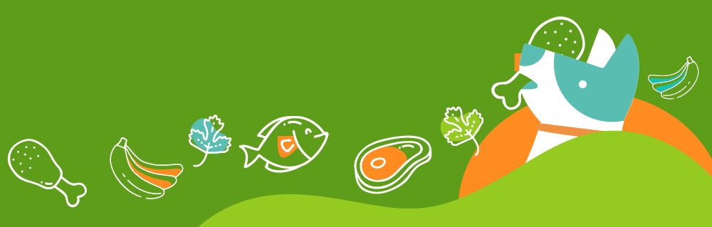 10 Ingredientes saludables para perros - Pets Table