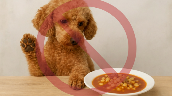 ¿Los perros pueden comer pozole? Descubre cuáles son sus riesgos y cómo evitarlos completamente - Pet's Table