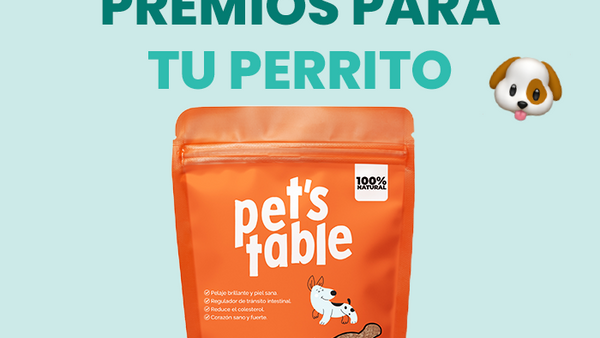 Descubre los mejores premios para perros y cómo brindarlos correctamente - Pet's Table