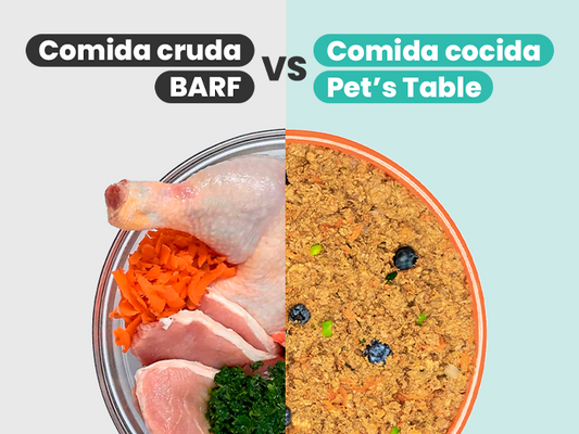 Dieta BARF vs comida natural cocida para perros