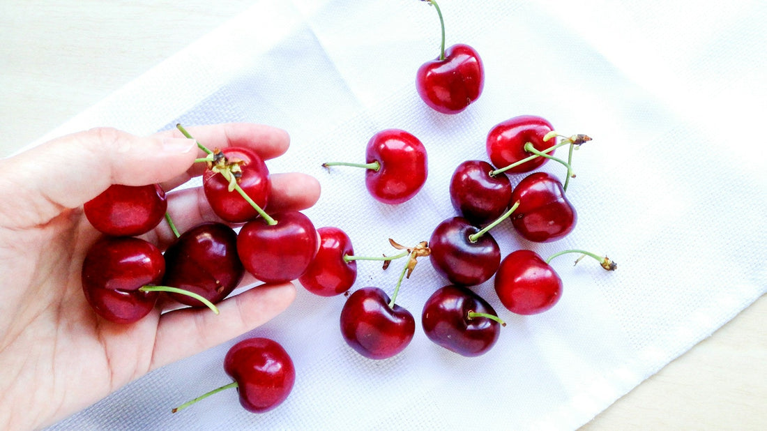 ¿Los perros pueden comer cereza? Beneficios y precauciones - Pet's Table