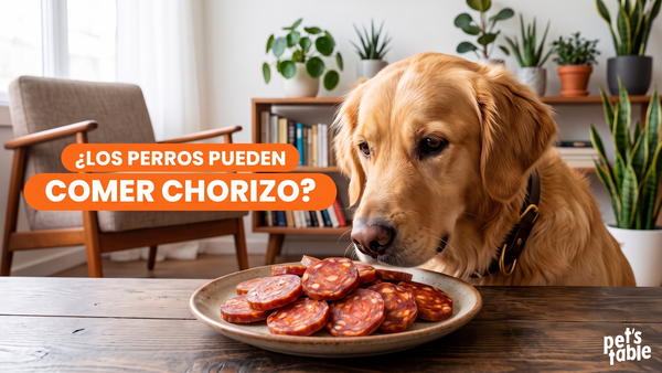 ¿Los perros pueden comer chorizo? Descubre todo acerca de sus beneficios y los riesgos potenciales para tu perrito - Pet's Table