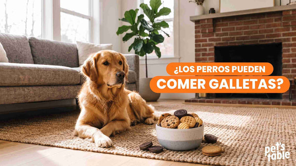 ¿Los perros pueden comer galletas? Descubre cuáles son seguras para ellos y cuáles debes evitar por completo - Pet's Table