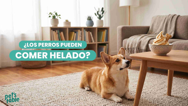 ¿Los perros pueden comer helado? Beneficios y riesgos - Pet's Table