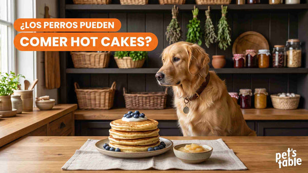 ¿Los perros pueden comer hot cakes? Beneficios y riesgos potenciales para tu peludito - Pet's Table
