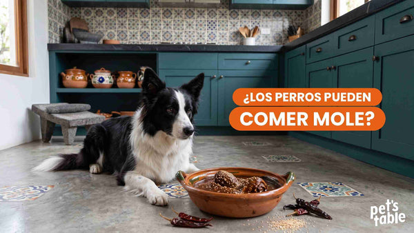 ¿Los perros pueden comer mole? Descubre sus posibles riesgos y cómo evitarlos completamente - Pet's Table