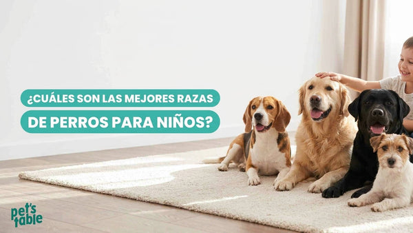 Las mejores razas de perros para niños: Descubre las razas más amigables y seguras para las familias y los niños - Pet's Table