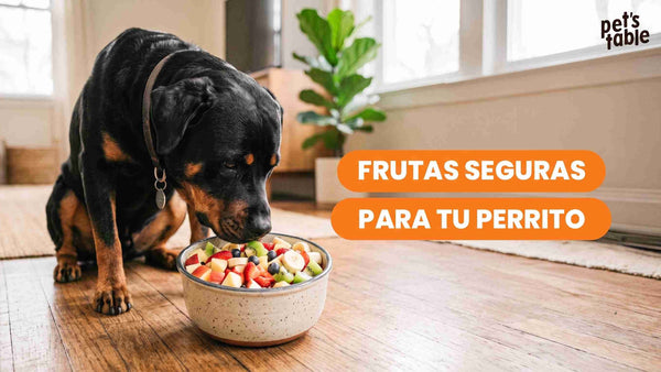 Conoce las frutas que pueden comer los perros - Pet's Table