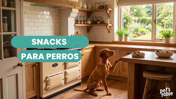 Snacks para perros: Descubre cuáles son los mejores para tu perrito - Pet's Table