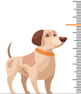 image-puppy
