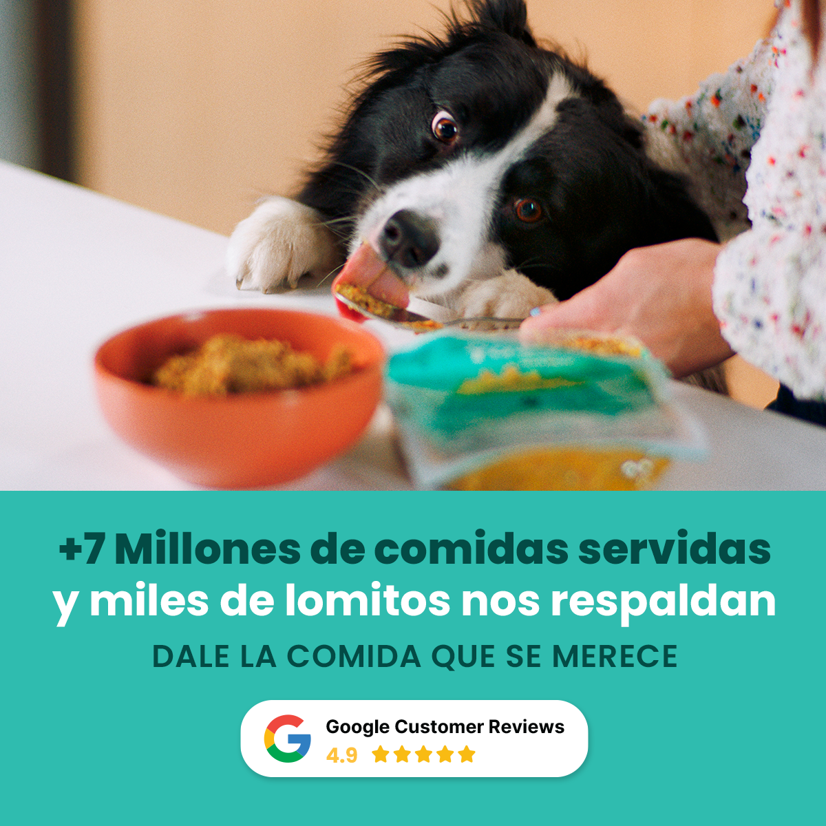 Pet's Table® Pack de Prueba – Comida Natural Cocida para Perros