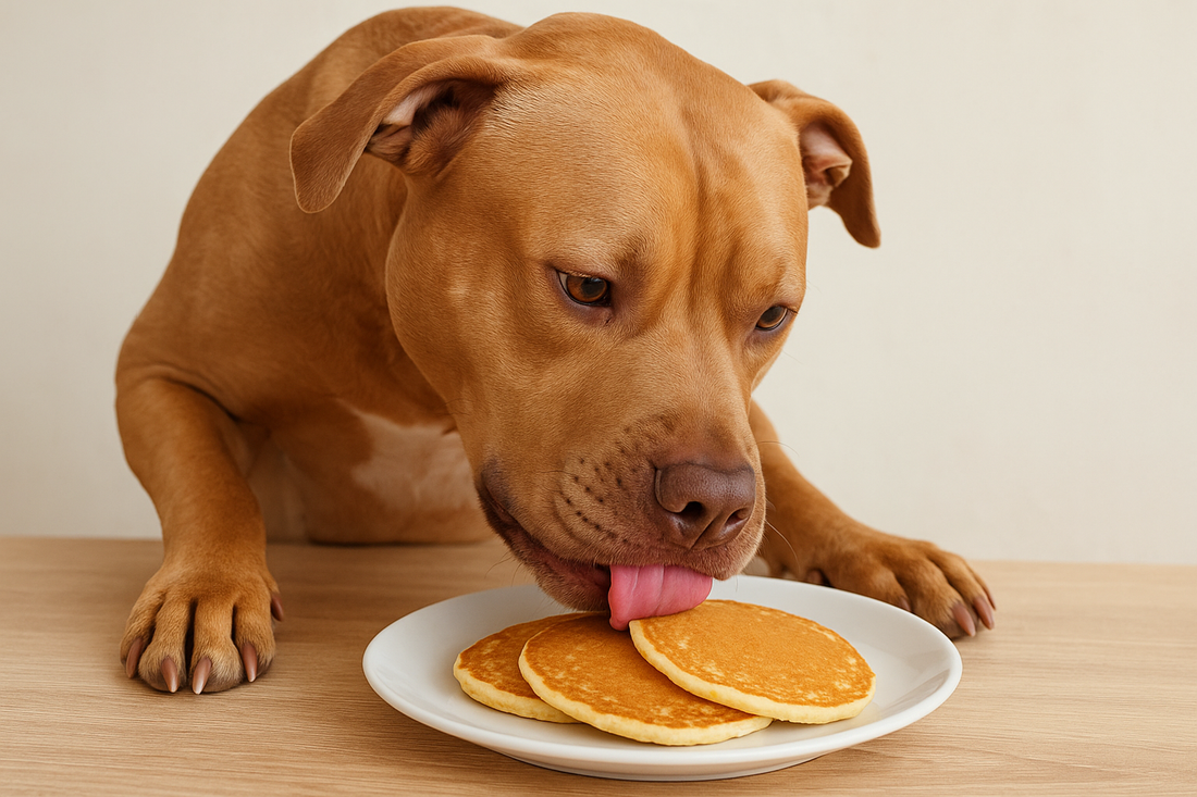 Hot Cakes para perros: Beneficios y riesgos potenciales para tu peludito - Pet's Table