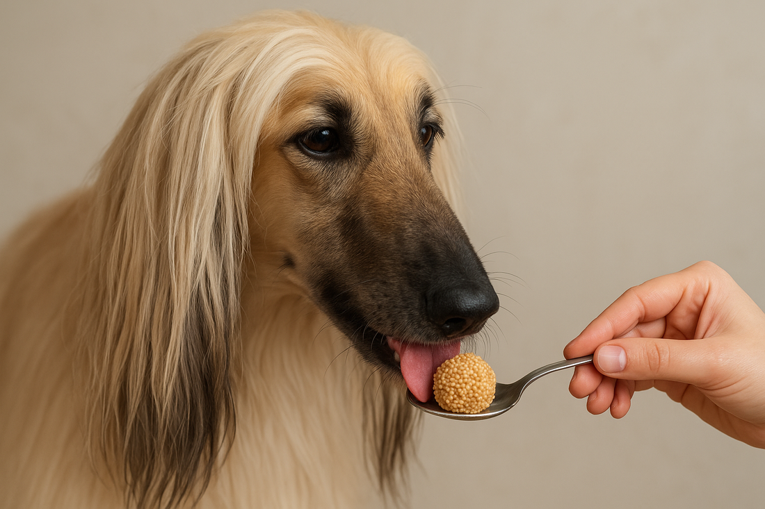 ¿Los perros pueden comer amaranto? Conoce la respuesta aquí sobre los beneficios y riesgos potenciales - Pet's Table