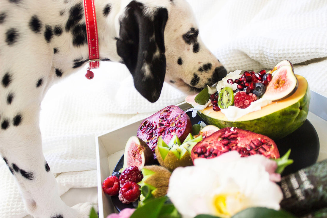 No todas las frutas y verduras son saludables para tu perro: descubre cuáles debes evitar
