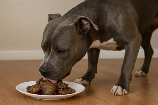 ¿Los perros pueden comer hígado? Descubre todo los beneficios y riesgos que tiene este alimento - Pet's Table