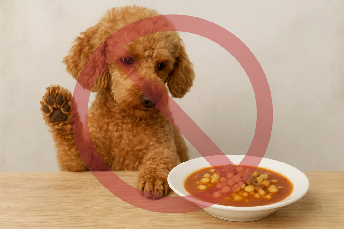 ¿Los perros pueden comer pozole? Descubre cuáles son sus riesgos y cómo evitarlos completamente - Pet's Table