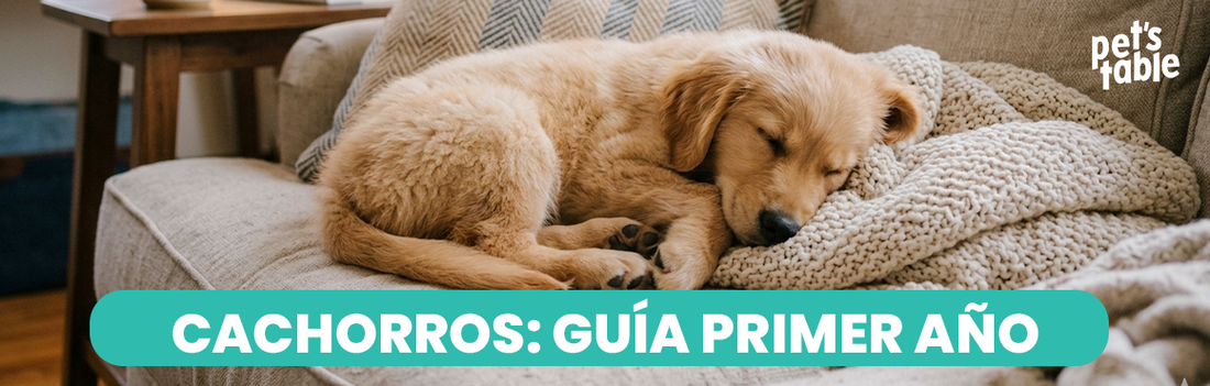 El primer año de tu perro cachorro debe estar lleno de cariño y la mejor alimentación natural de México - Pet's Table