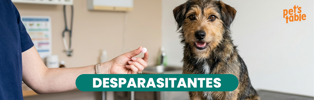 Descubre todo lo necesario sobre la desparasitación en perros y cuándo es necesaria - Pet's Table