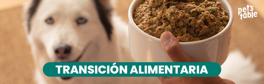Transición alimentaria en perros: Guía definitiva para cambia de croquetas a comida natural para perros.