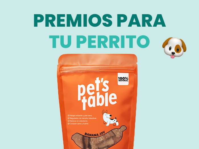 Descubre los mejores premios para perros y cómo brindarlos correctamente - Pet's Table
