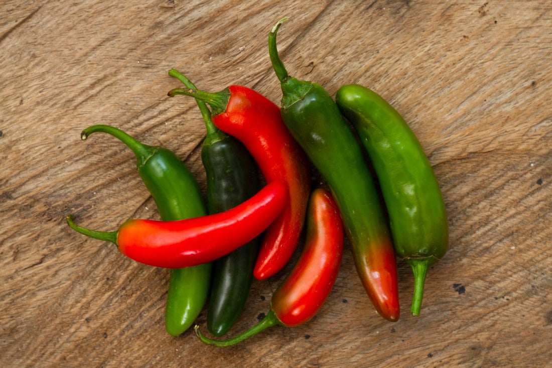 ¿Los perros pueden comer chile? Mitos y realidades - Pets Table