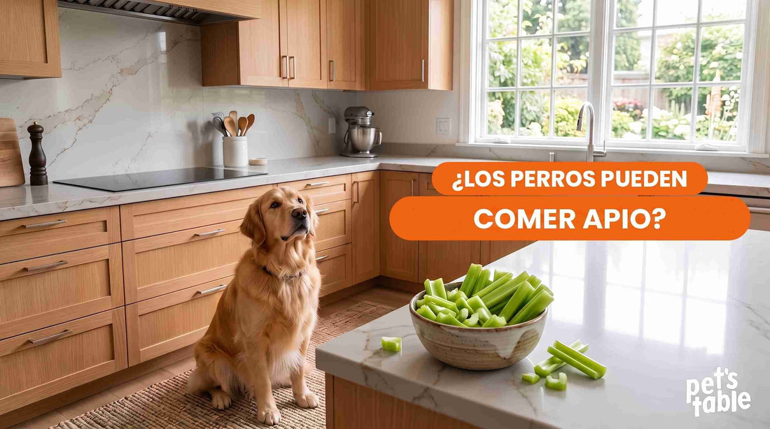 ¿El apio le hace mal a los perros? Todo lo que necesitas saber sobre este alimento - Pet's Table