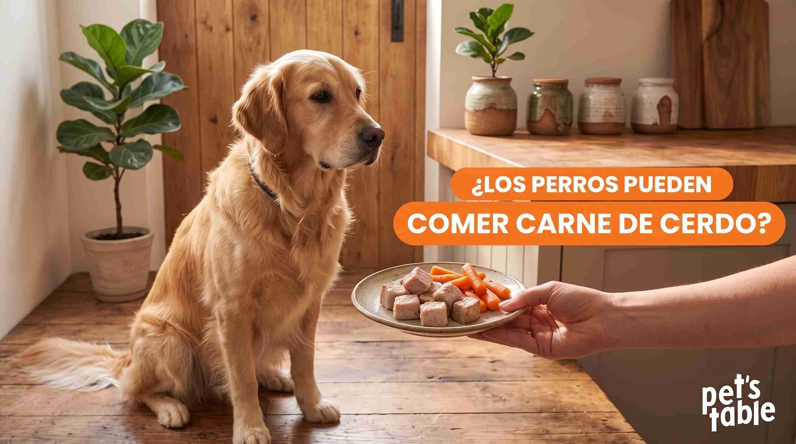 ¿Los perros pueden comer carne de cerdo? Te contamos sus beneficios y sus posibles riesgos - Pet's Table