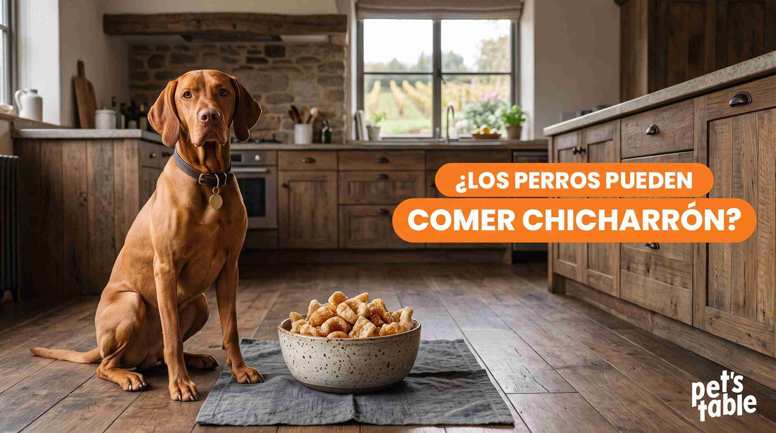 ¿Los perros pueden comer chicharrón de cerdo? Beneficios y riesgos - Pet's Table