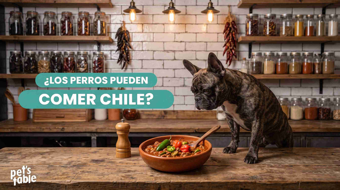 ¿Los perros pueden comer chile? Mitos y realidades de este alimento para tu peludito - Pet's Table