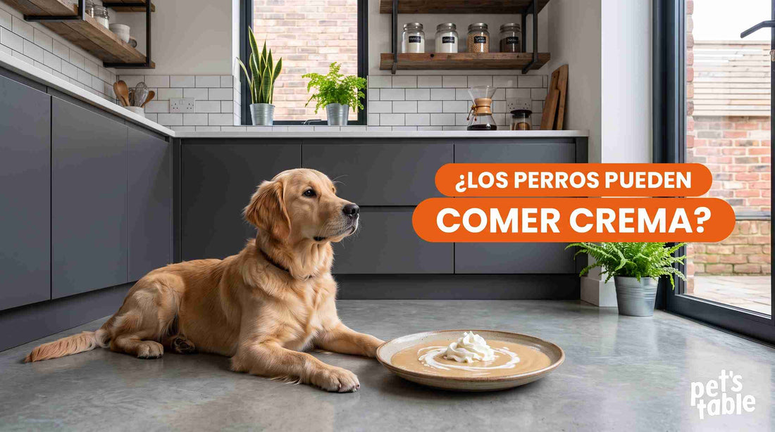 ¿Los perros pueden comer crema? Beneficios y riesgos de este alimento para el cuerpo de tu peludito - Pet's Table