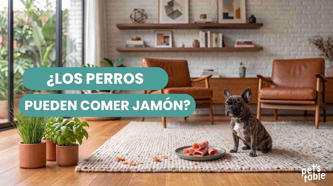 ¿Los perros pueden comer jamón? Pros y contras de este alimento para tu perrito - Pet's Table