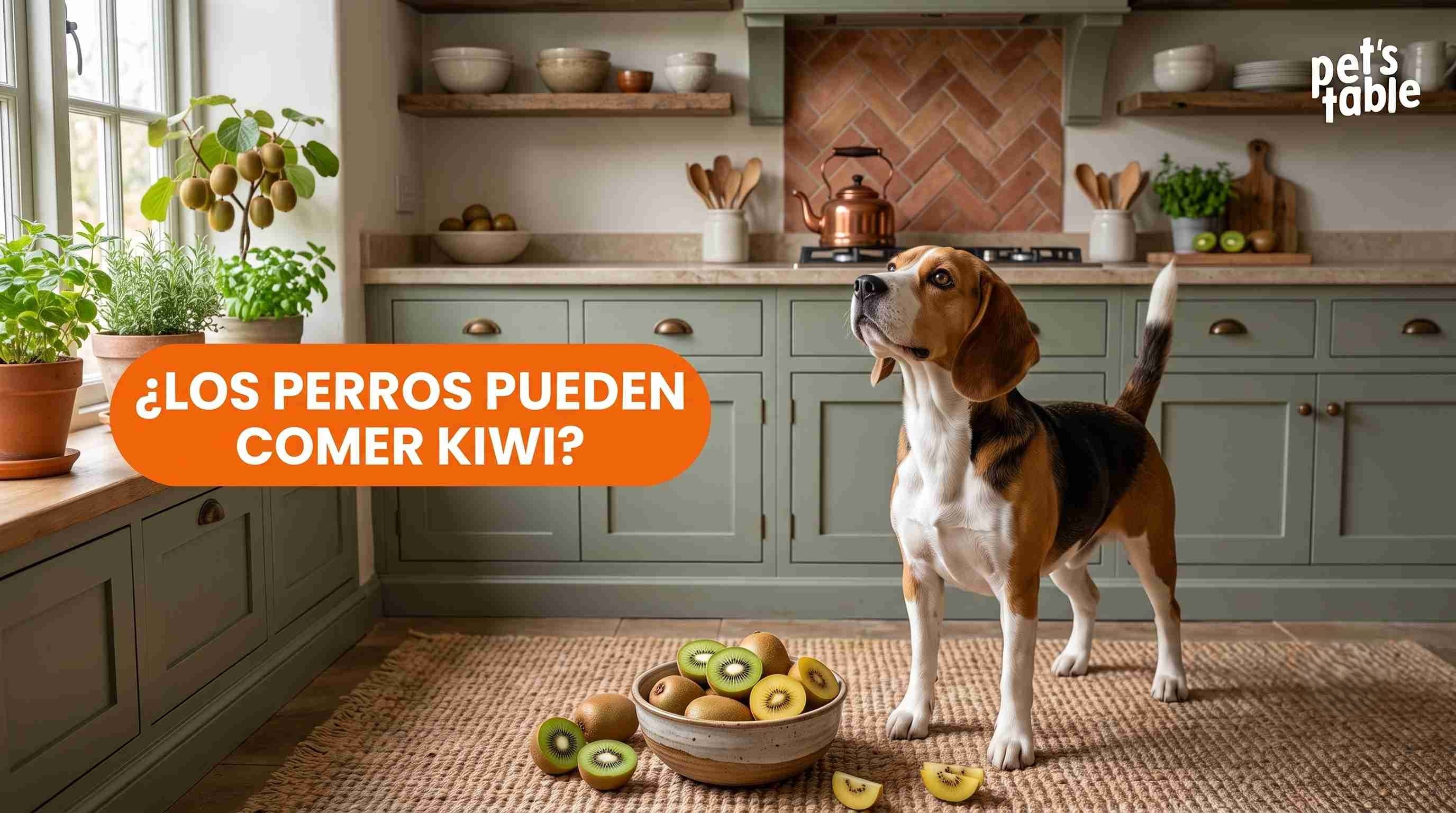 ¿Los perros pueden comer kiwi? Descúbrelo aquí - Pet's Table