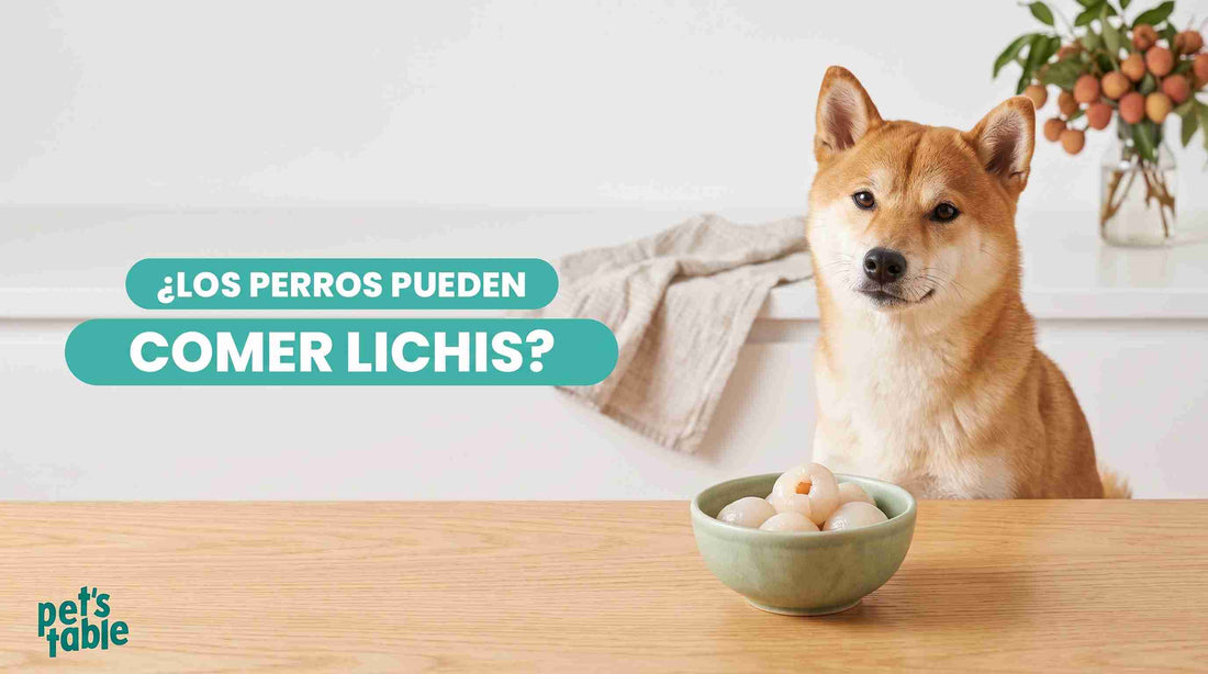¿Los perros pueden comer lichis? Beneficios y precauciones - Pet's Table