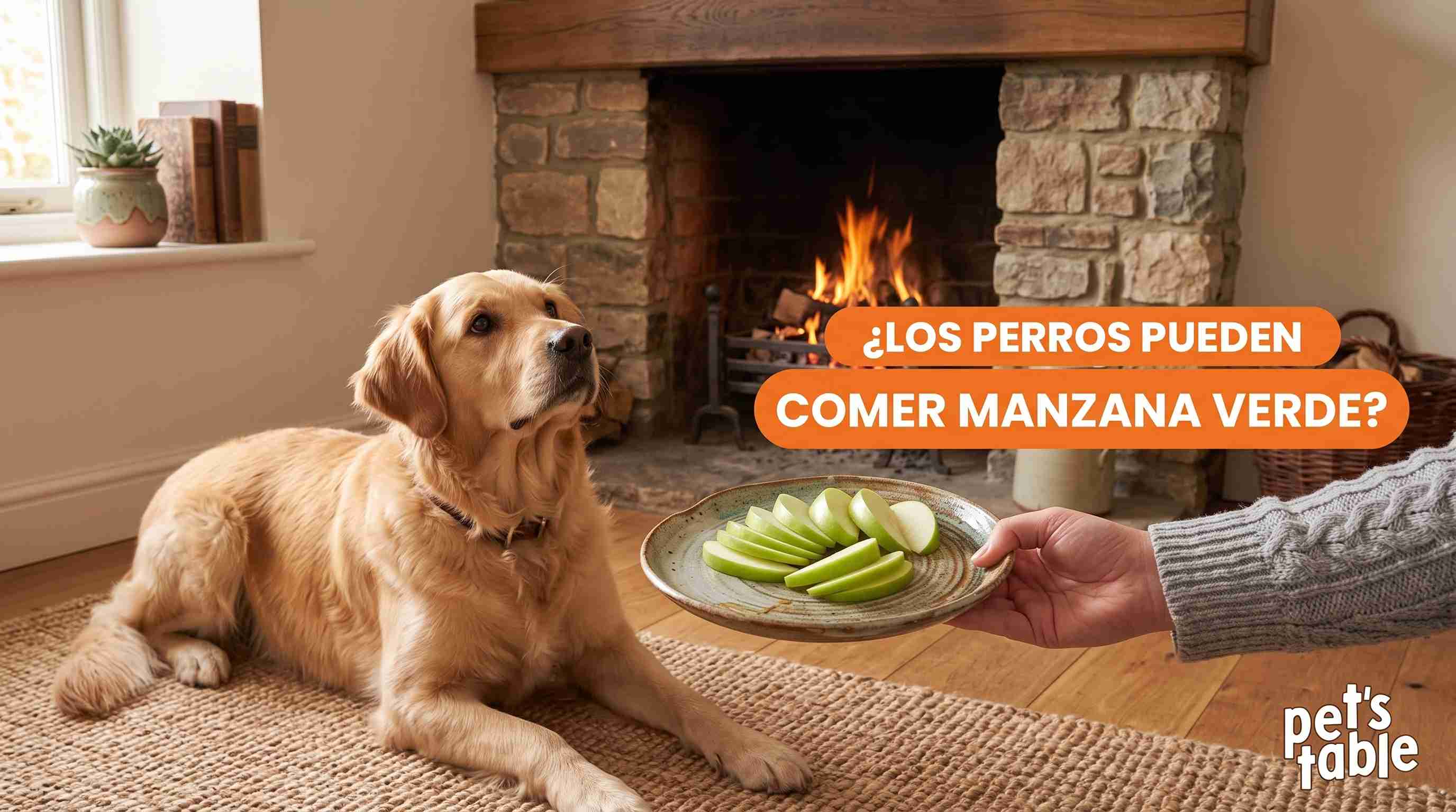 Manzana verde para perros: Beneficios y precauciones - Pet's Table