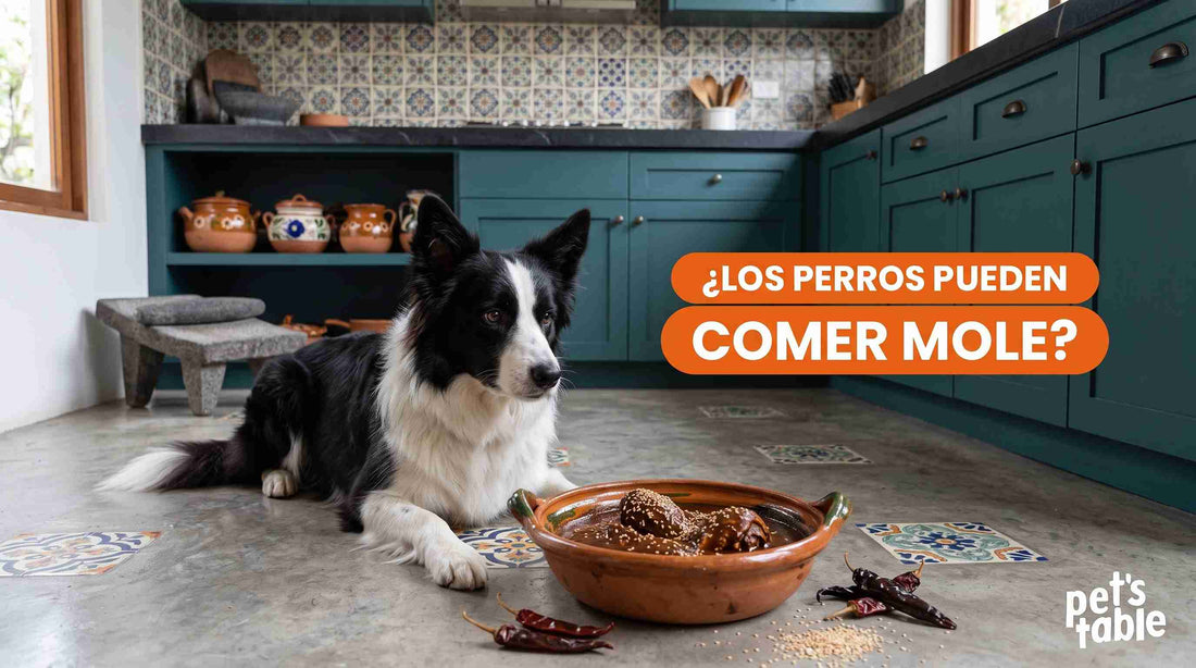 ¿Los perros pueden comer mole? Descubre sus posibles riesgos y cómo evitarlos completamente - Pet's Table