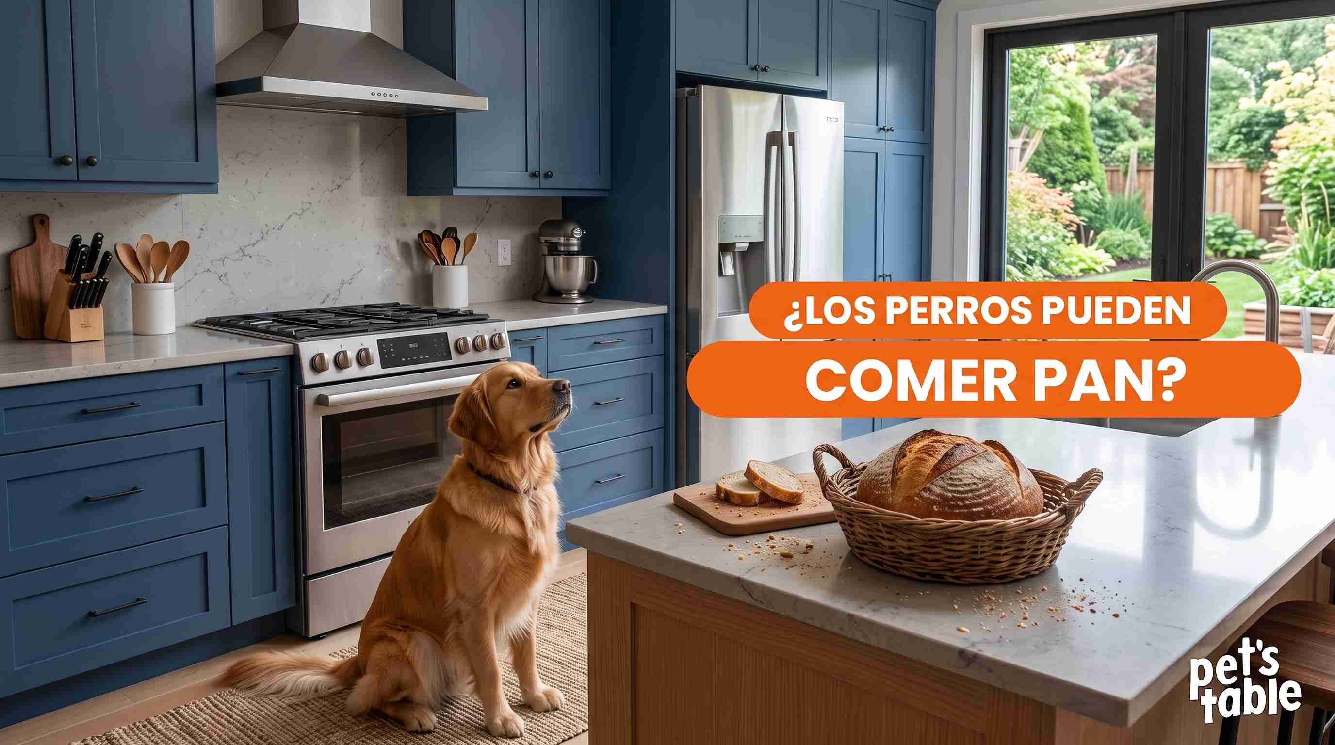 ¿Los perros pueden comer pan? Beneficios y precauciones de este alimento para tu mejor amigo perruno - Pet's Table