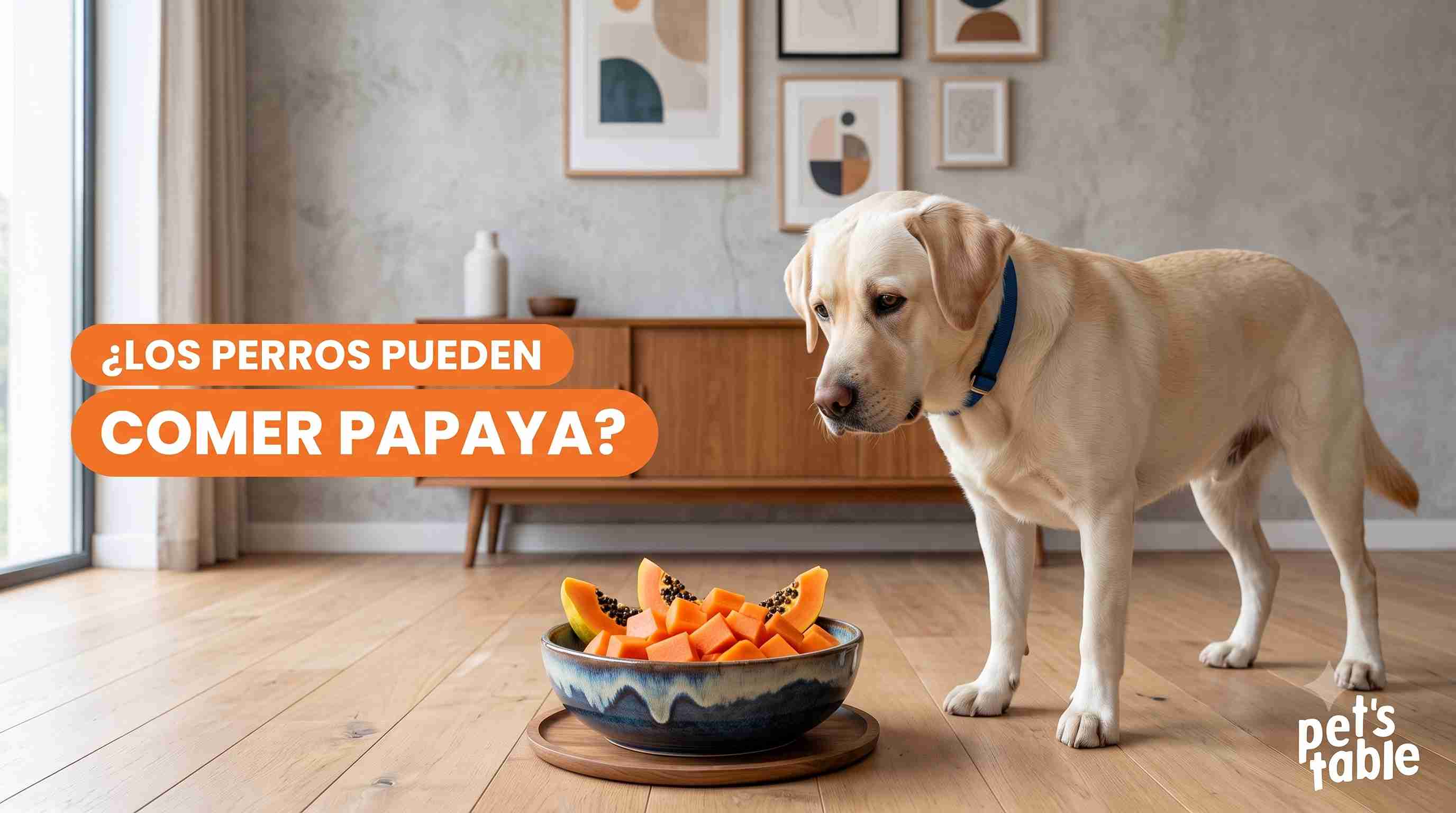 ¿Se le puede dar papaya a los perros? Descubre sus beneficios y riesgos - Pet's Table