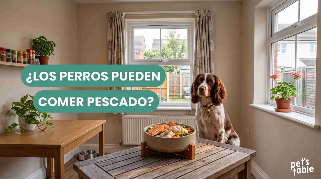 ¿Los perros pueden comer pescado? Consejos y beneficios de este alimento para su organismo perruno - Pet's Table