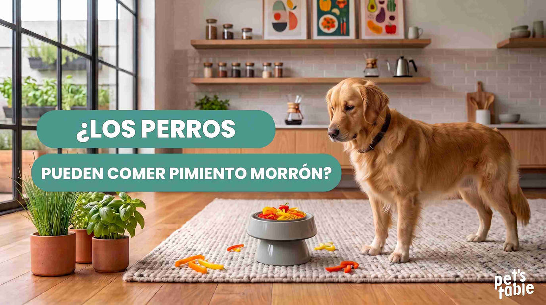 ¿Los Perros Pueden Comer Pimiento Morrón? Beneficios y Precauciones - Pet's Table