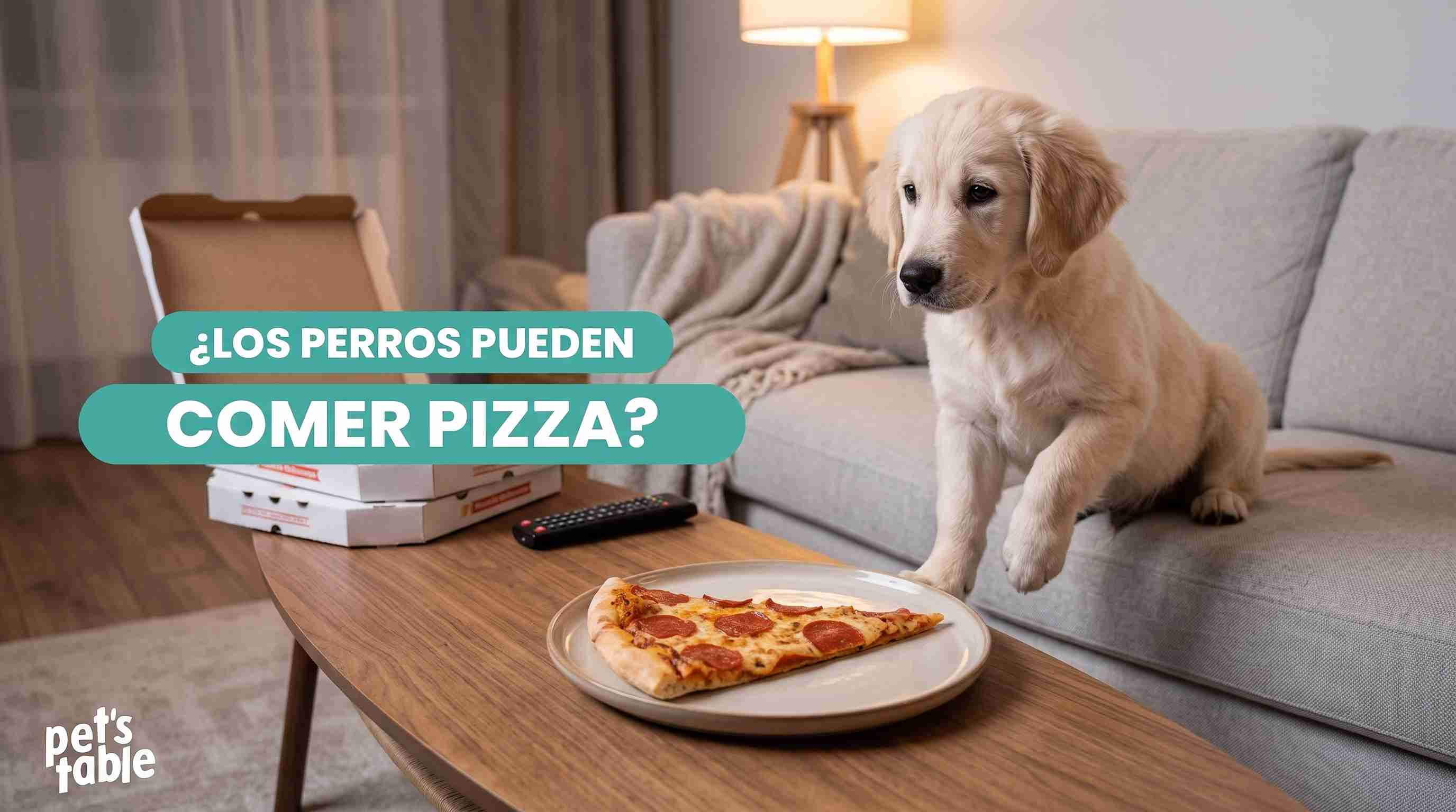 ¿Los perros pueden comer pizza? Descubre todo lo que debes saber de este alimento y lo que provoca en los peluditos - Pet's Table