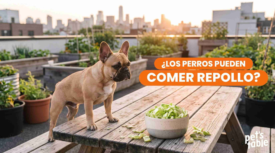 ¿Los perros pueden comer repollo blanco? Todo lo que necesitas saber sobre este vegetal en tu peludito - Pet's Table