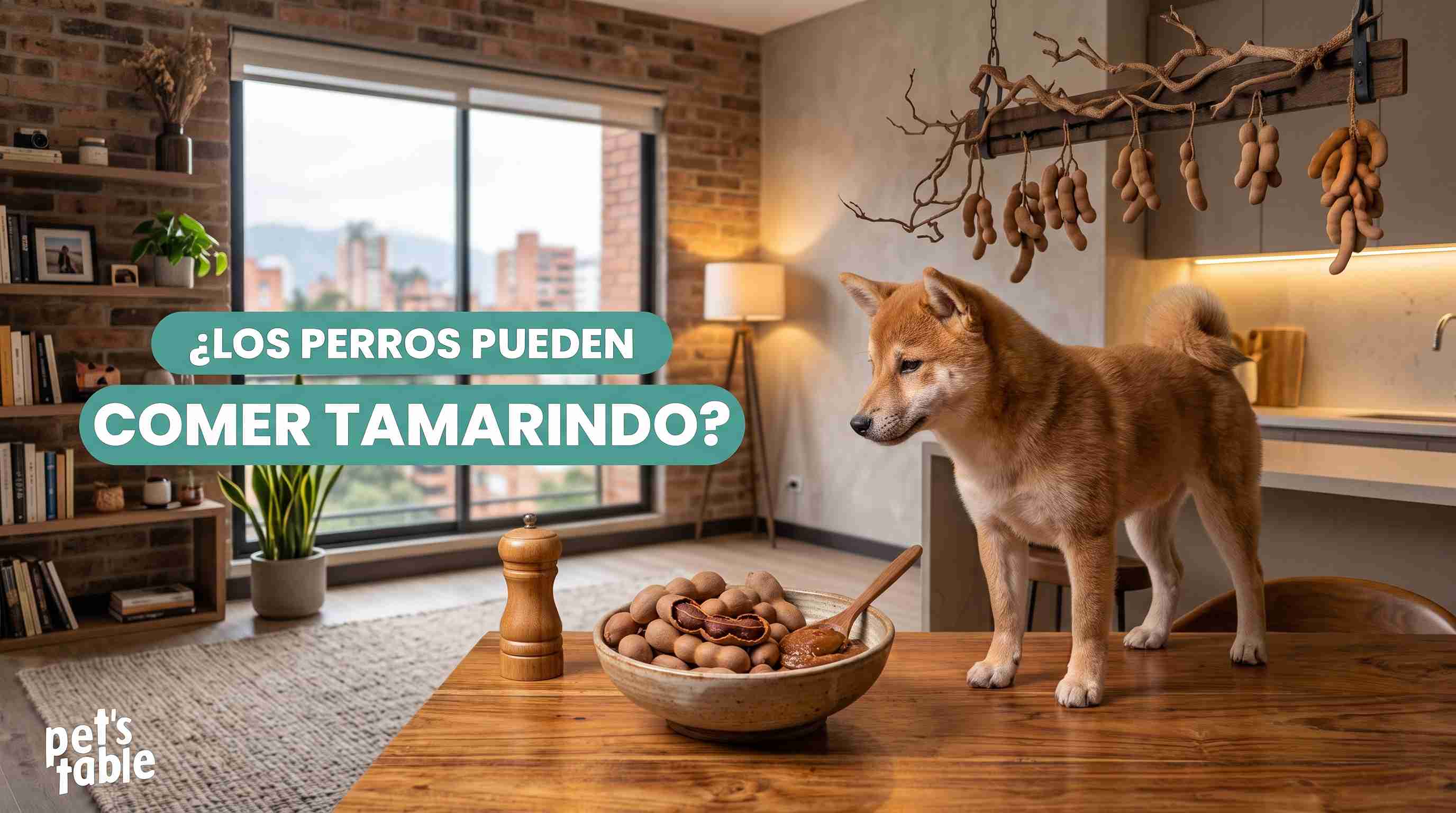 ¿Los perros pueden comer tamarindo? Aquí te contamos - Pet's Table