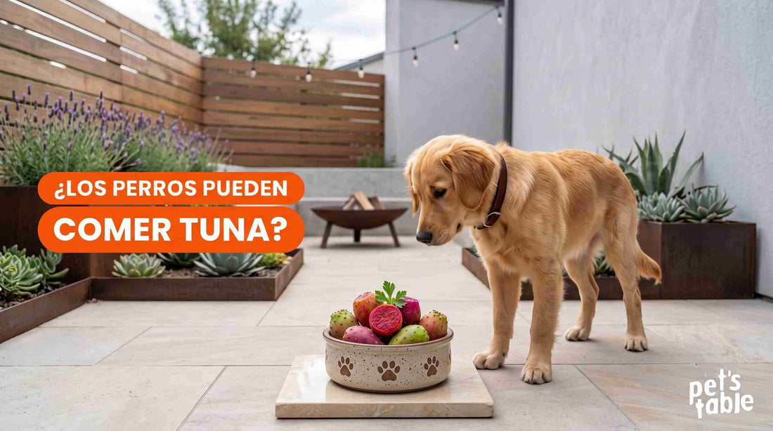¿Los perros pueden comer tunas? Beneficios y riesgos - Pet's Table