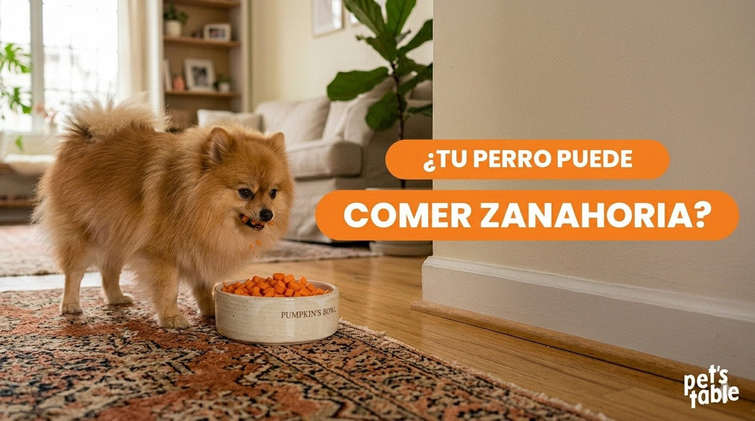 Zanahoria para perros, ¿Es realmente buena? - Pet's Table