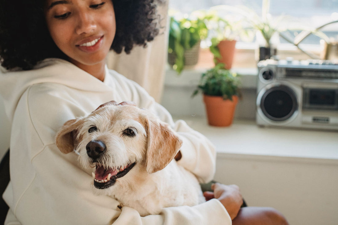 Adoptar un perro: Todo lo que debes saber antes de dar el paso - Pet's Table