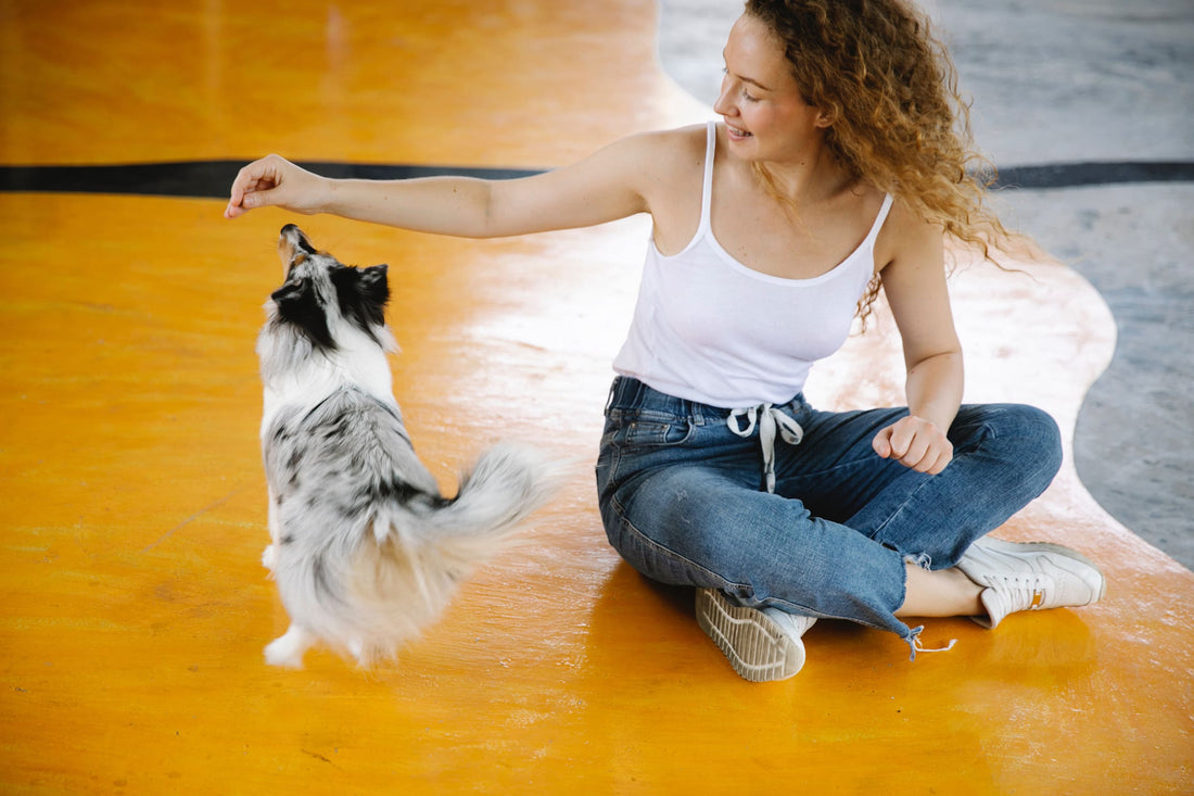 Perros: los aliados perfectos para la salud física y mental