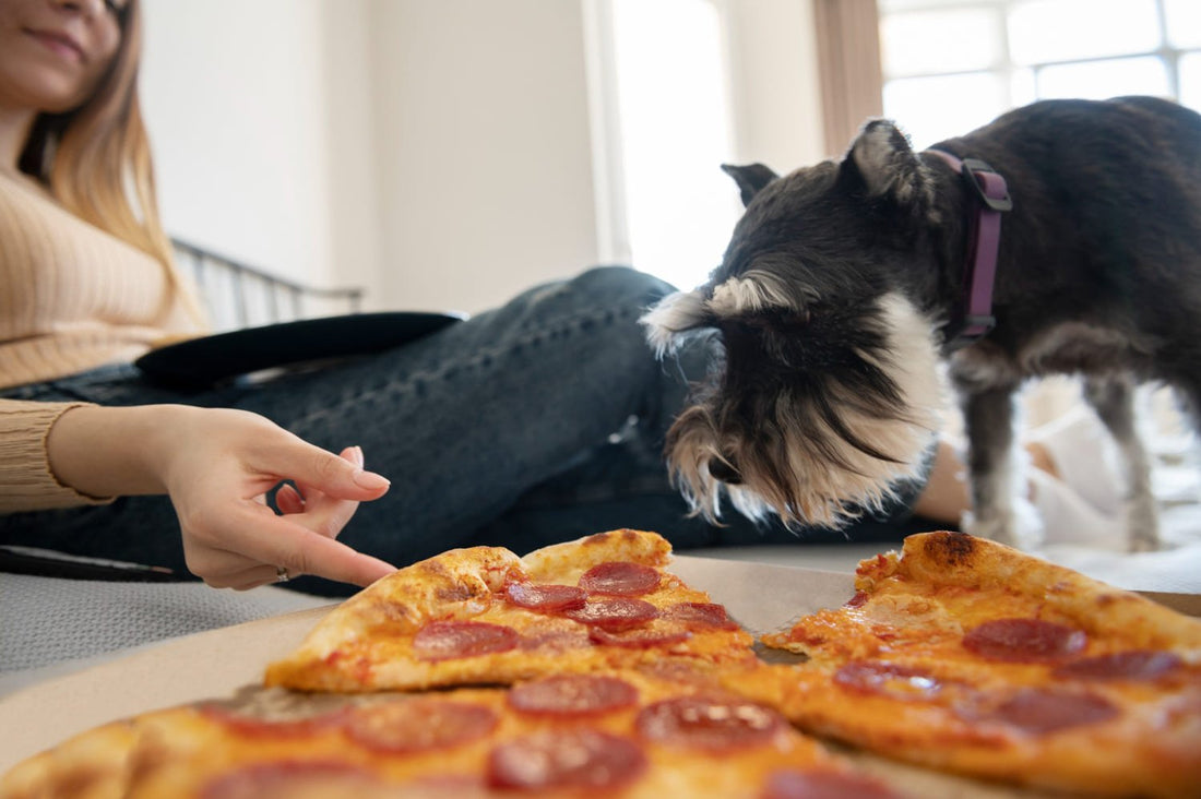 Queso para peludos: ¿un delicioso snack o un riesgo? - Pets Table