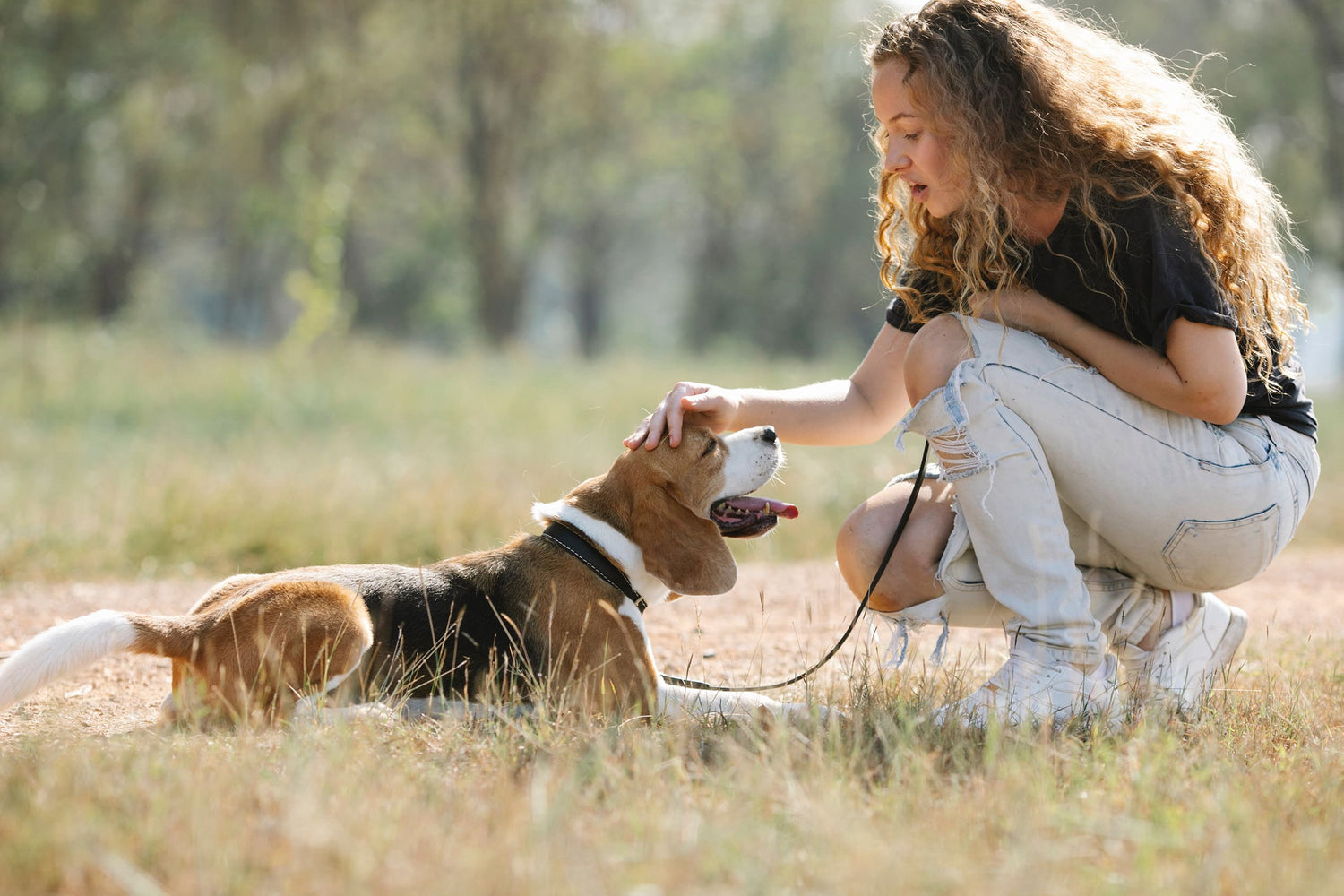 Superando Miedos: estrategias efectivas para calmar a tu perro