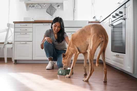 ¿Es la carne de cerdo buena para los peludos? pros y contras - Pets Table